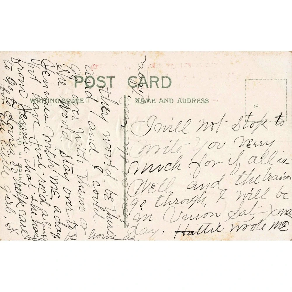 Antique East Homer New York Rose Embossed Postcard Printed in Germany G+
